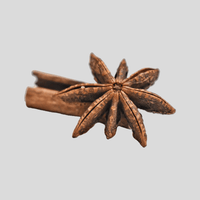 Sternanis