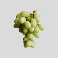Weinbeere