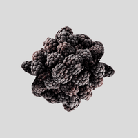 Brombeere