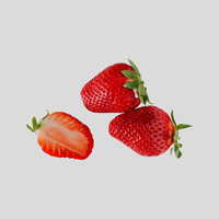 Erdbeere