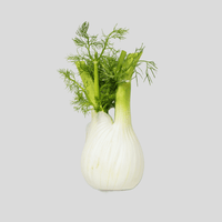 Fenchel