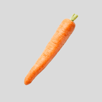 Karotte
