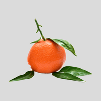 Mandarine