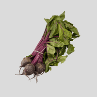 Rote Beete