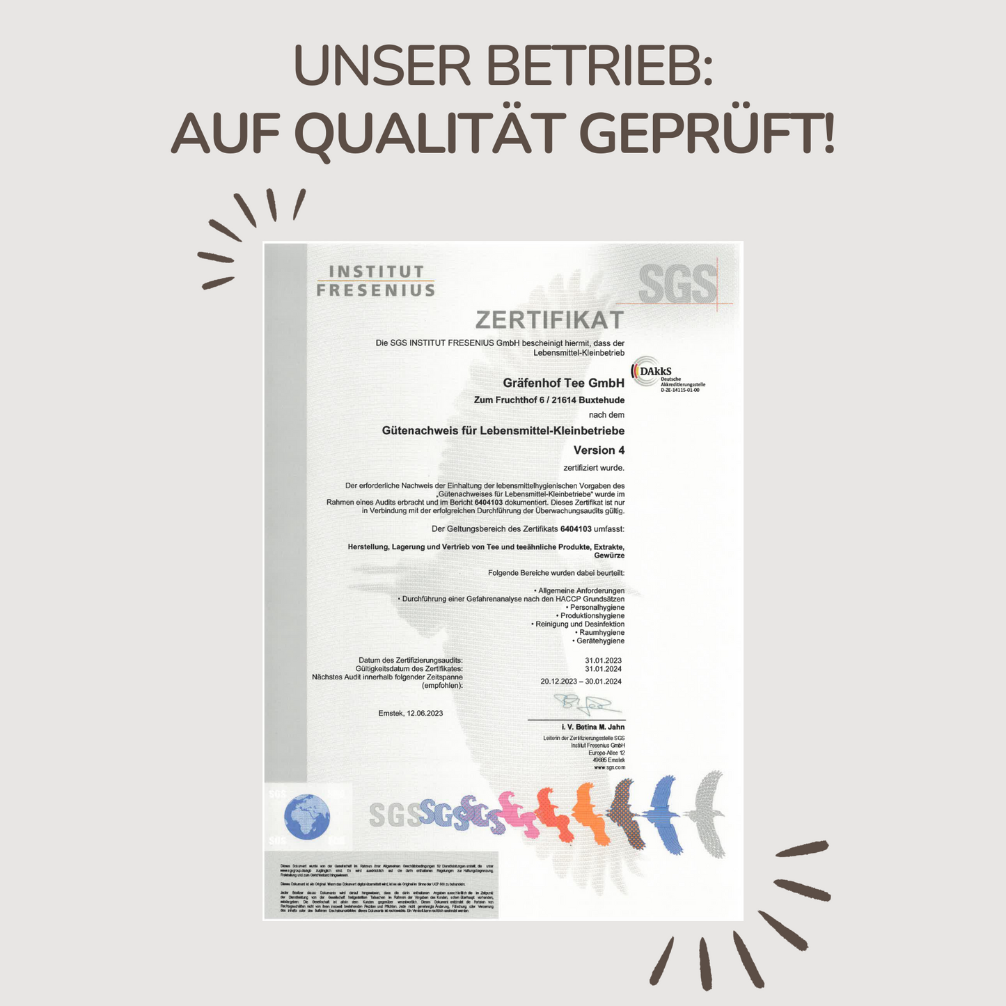 Darjeeling Dream Tee, Pyramidenbeutel mit Sachet