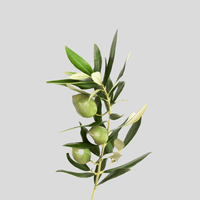 Olivenblatt